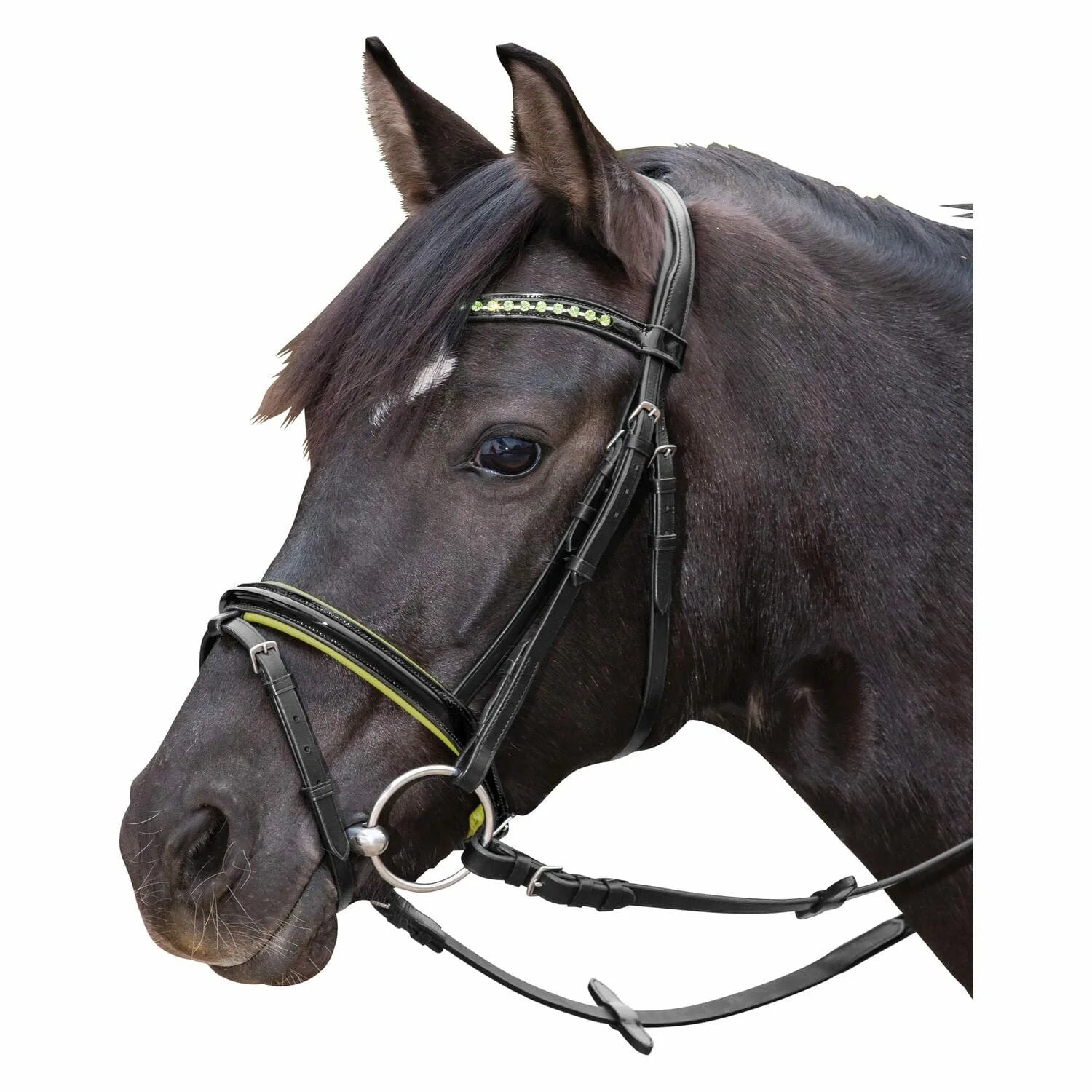 сколько уздечек. шведский капсюль. уздечка-недоуздок для лошади.