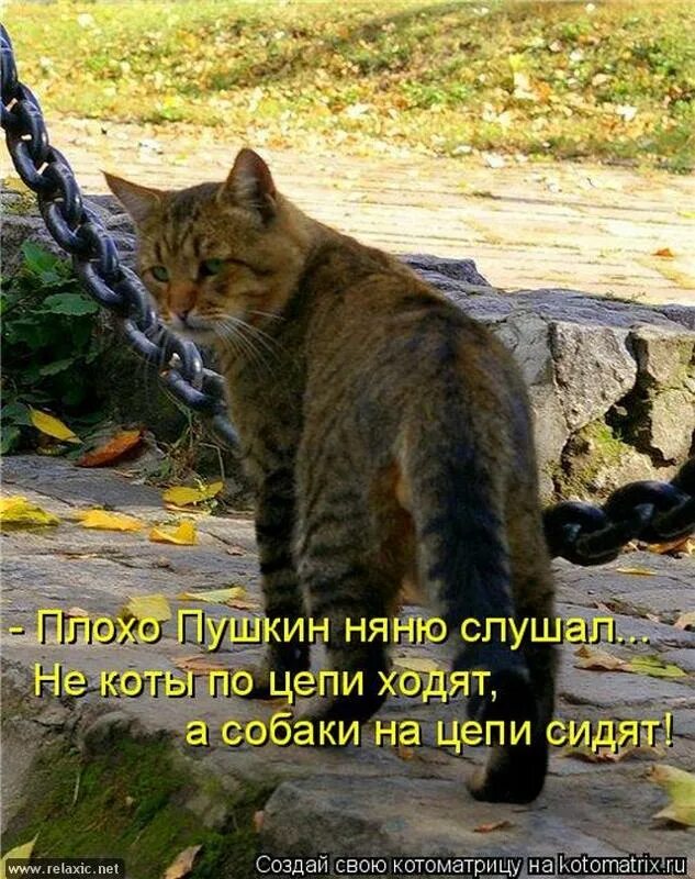 скульптура кошки из дерева. кот на цепи сидит. кот пушкин. кот с сосисками. кот в собачьей будке.