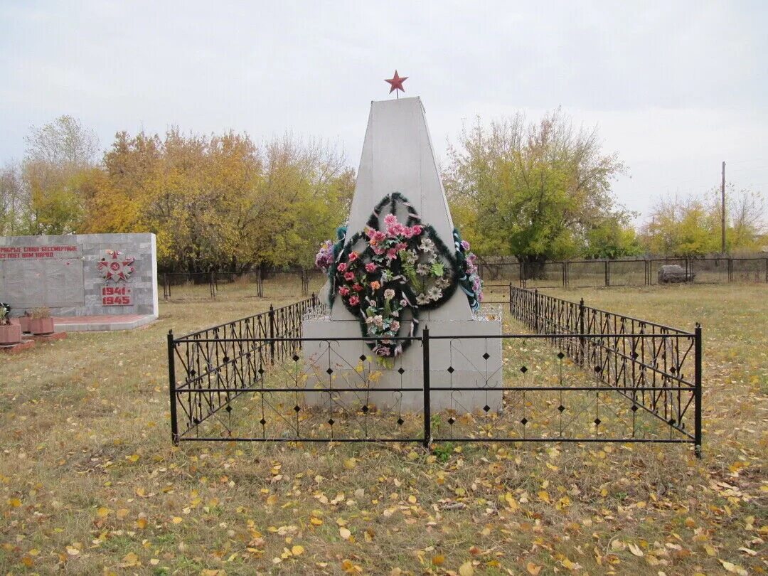 Село Лянино Здвинского района. Лянинская школа Здвинского района. Лянино Новосибирская область. Алексеевка здвинского района новосибирской области