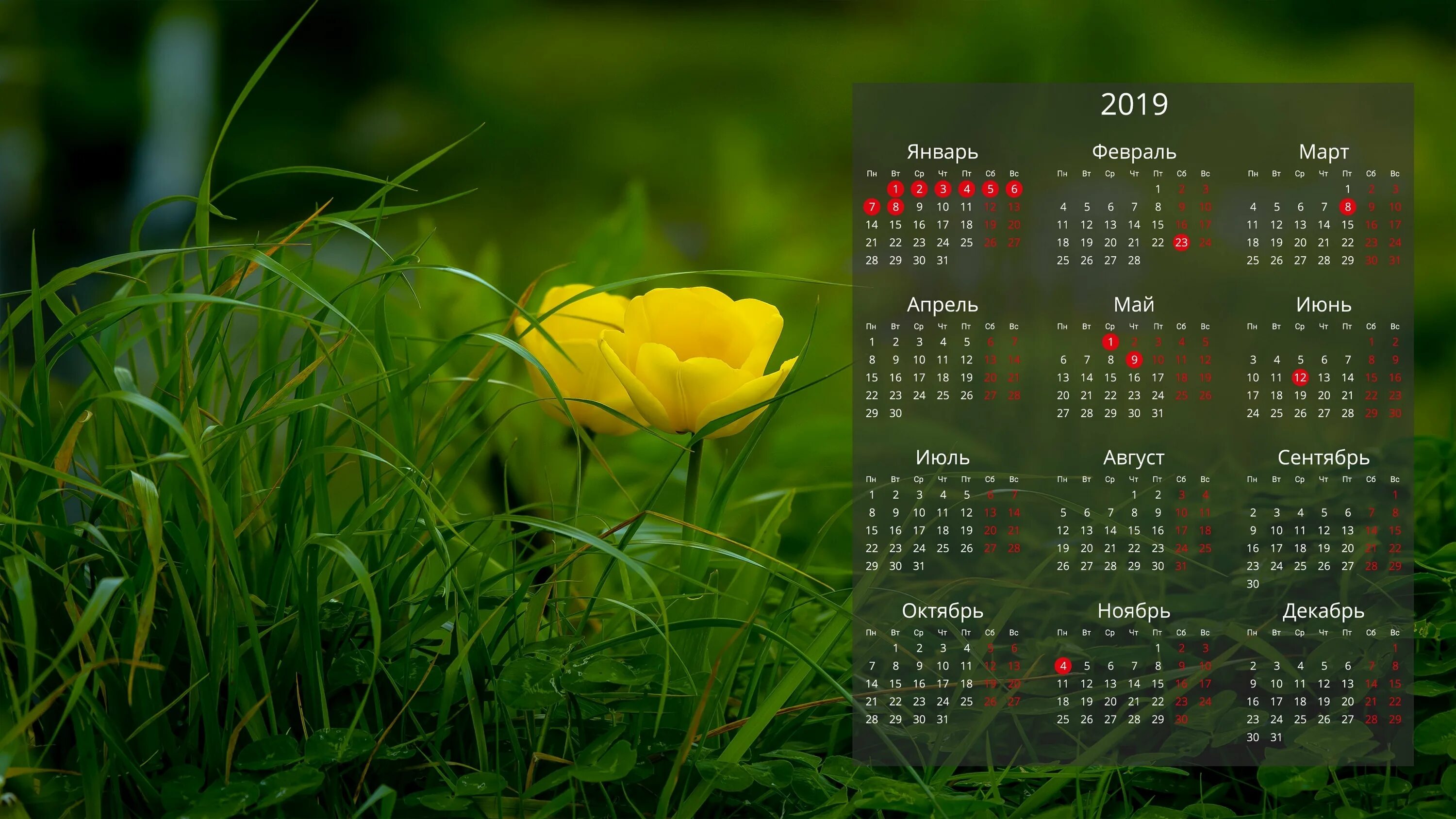 Обои на телефон с календарем. Календарь. Красивый календарь. Кондарь. Обои на рабочий стол календарь.