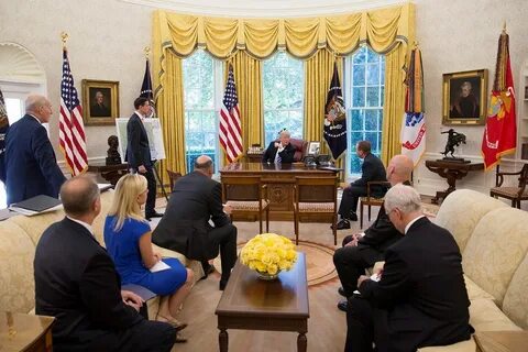 Работа правительства сша