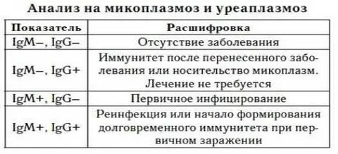 Антитела g и m к вирусу