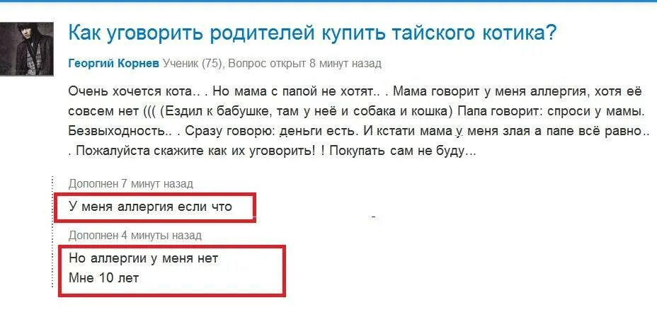 Как уговорить маму на собаку. КСК уговорить родителей на собаку. Как уговорить папу. Как уговорить родителей купить котенка. Как уговорить родителей купить кошку.