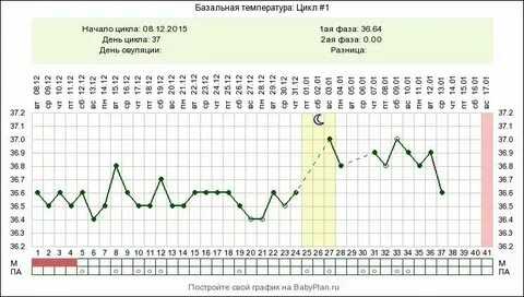 Окно фертильности и овуляция в чем разница