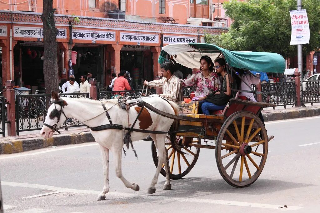 Рикша Джайпур. Индийская повозка. Гужевая повозка. Повозка в Индии. Как раньше в народе называли двухколесную повозку