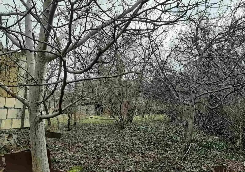 Улица коллективных садов симферополь. Улица коллективных садов симферополь. 36 ул коллективных садов симферополь фото. Симферополь улица коллективных садов. Улица коллективных садов симферополь.