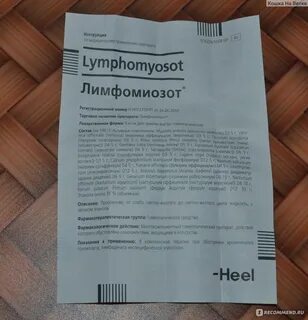 Как принимать лимфомиозот в каплях взрослым