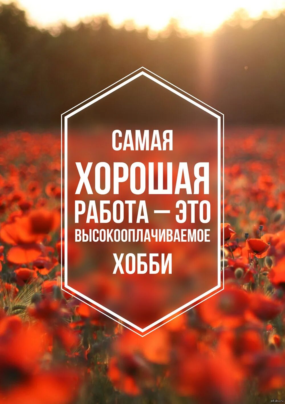 мемы про клиентов. успешная и счастливая женщина. работа хобби цитата. самые лучшие подработки. самые лучшие подработки.