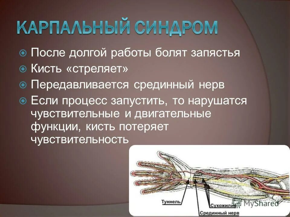 Срединный нерв. Карпальный сустав у животных. Срединный нерв в области лучезапястного сустава. После физической работы болят кисти