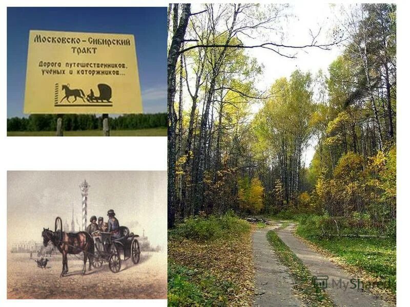 Сибирский тракт отзывы. Сибирский тракт отзывы