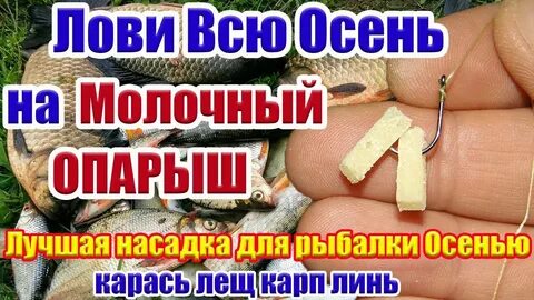 Приманка на карася осенью