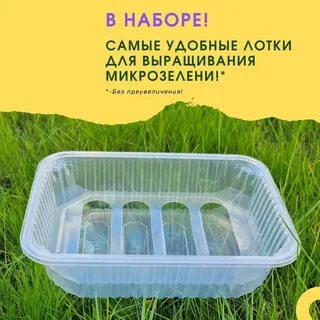 Лотки для микрозелени оптом