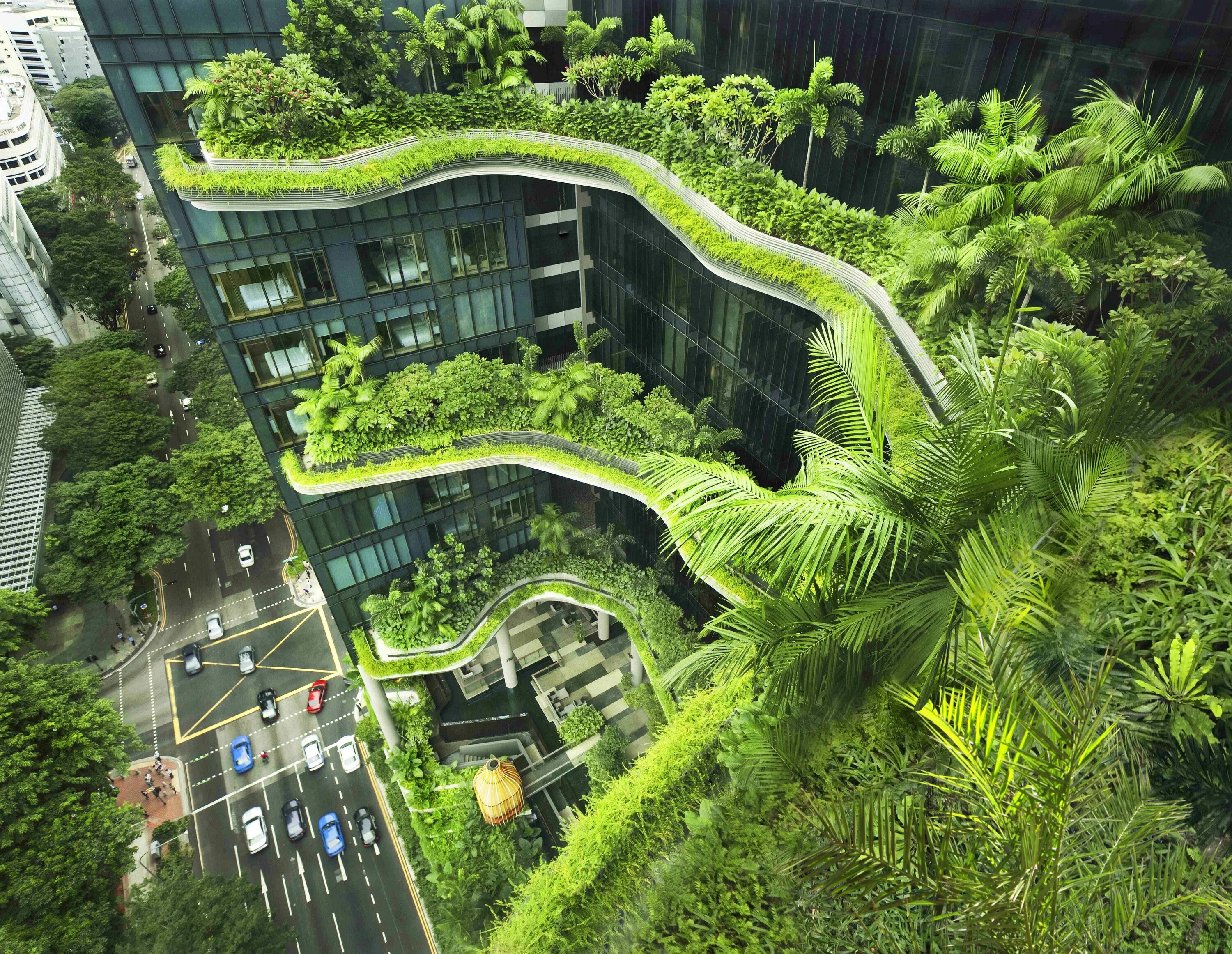 Самый зеленый класс. Отель-сад PARKROYAL В Сингапуре. Парк Роял Сингапур. Сингапур архитектура Park Royal. Отель в Сингапуре PARKROYAL on Pickering.