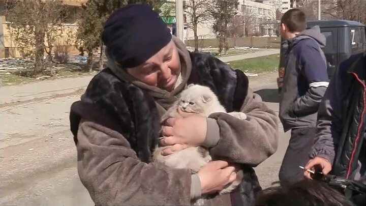 Собака друг человека. Угличский район село ларюково. Одинокий мужчина с собакой. Коты мариуполя. Кремль мигранты.