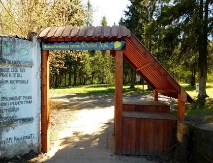 Липовая гора пермь