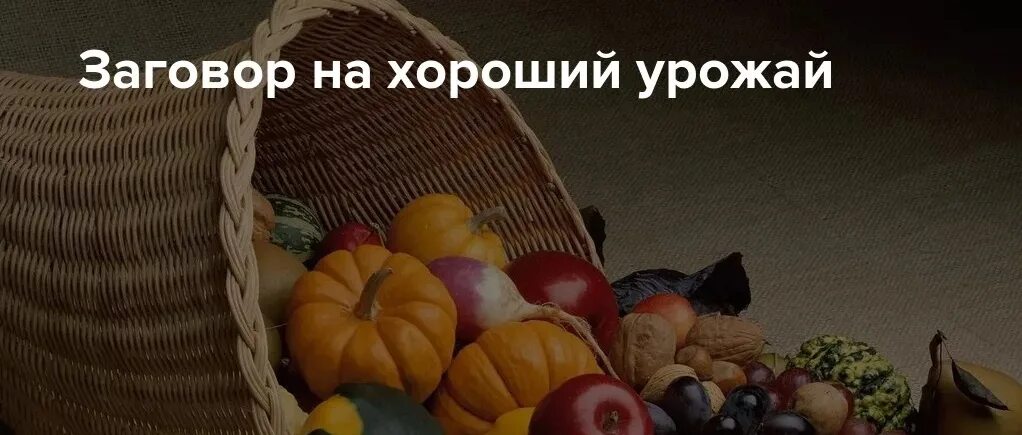 Отвечал несмотря в книгу собрали хороший урожай. Заговор на хороший урожай. заговор на хороший урожай в огороде. заговор на хороший урожай помидор. хороший урожай предложения.