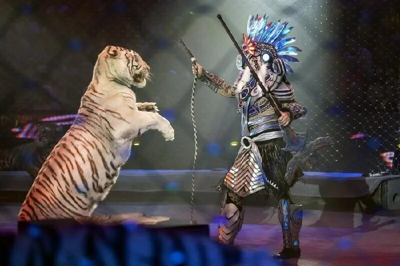 страшная сила братьев запашных 2023. московский цирк страшная сила. проспект вернадского цирк запашных. страшная сила братьев запашных. цирковое шоу "страшная сила".