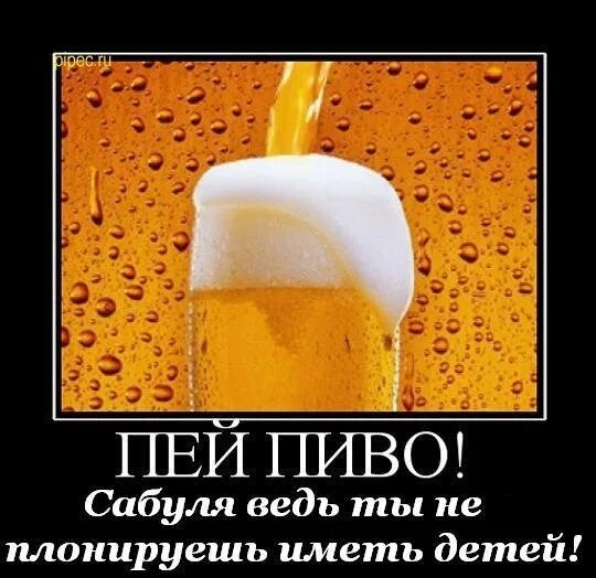 Пей пиво холодное. Не пей пиво. Пей пиво. Попить пивка.