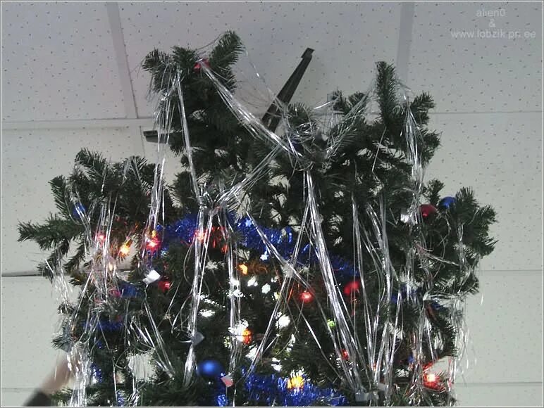 что повешали на елку в израиле