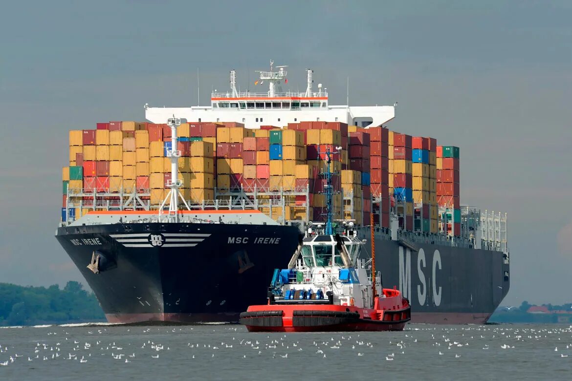 Морской транспорт организация. Mediterranean shipping Company контейнеры. MSC контейнер. Контейнеровоз MSC. Контейнерные морские перевозки из Китая.