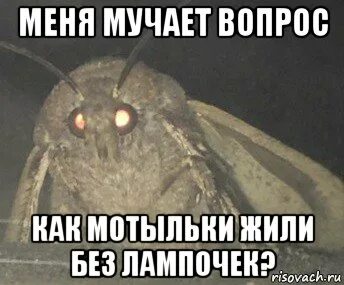 Живи как мотылек