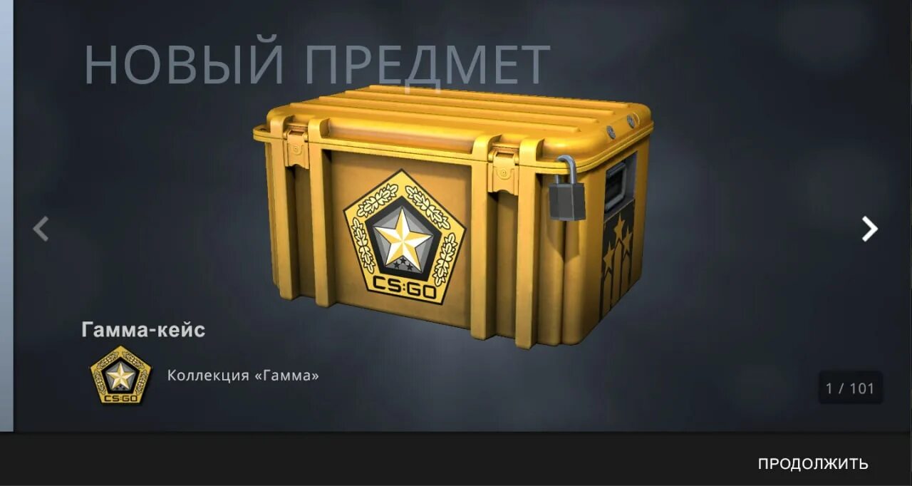 Gamma 2 case