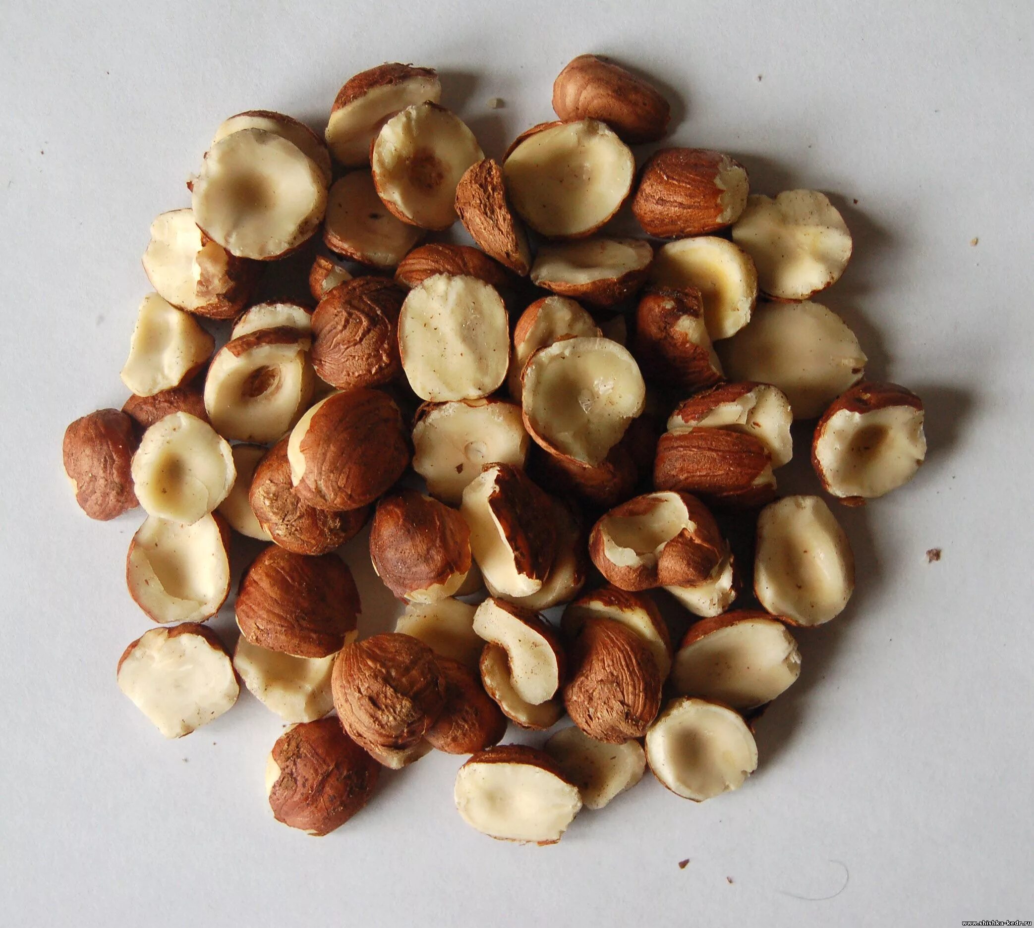 скорлупа от грецких орехов. орехокол nut cracker 2в1. расколов ореха. орехокол nut cracker 2в1 =190. макадамия австралийский орех ключик.