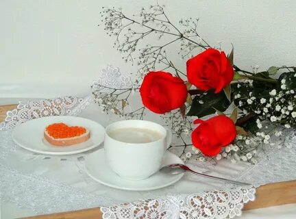 Доброе утро вторника цветы
