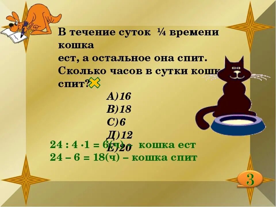 Сколько в среднем спят кошки