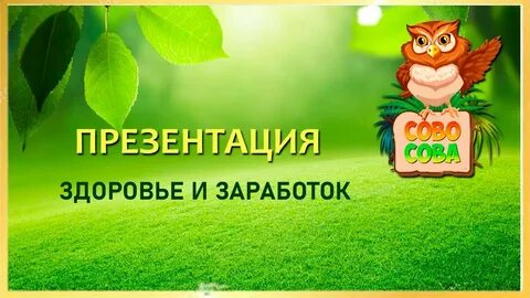 Сово сова