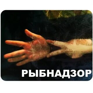 Я рыбнадзор а ты знаешь кто видео