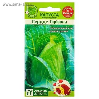 Капуста сахарное сердце