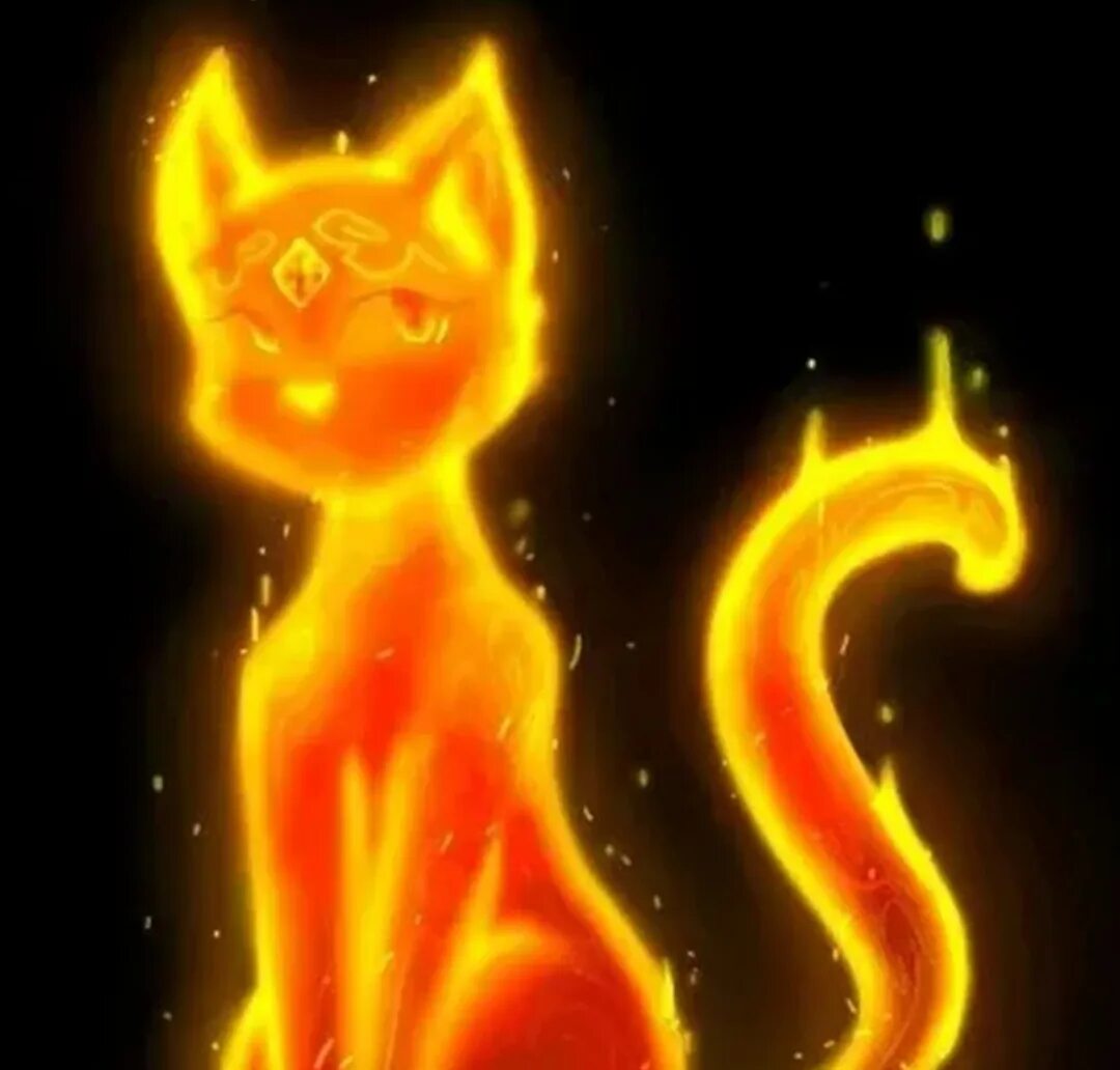 Как выглядит огненная кошка