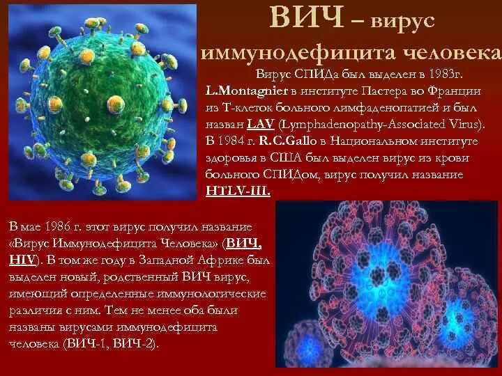 Спид вызван вирусом. Вирус иммунодефицита человека. Вирус ВИЧ. ВИЧ инфекция вызывается вирусом. Вирус ВИЧ ВИЧ.