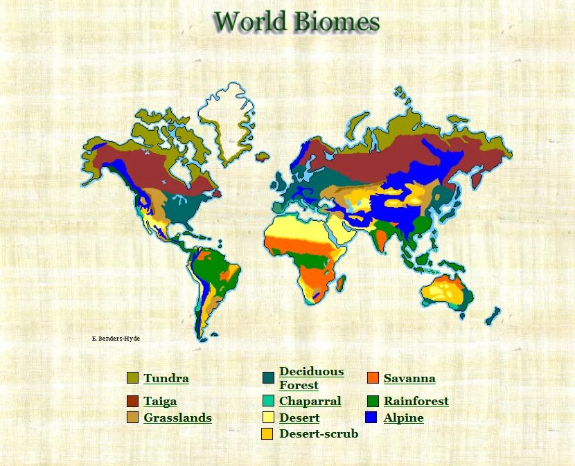 Different climate. Мировые биомы. Карта биомов. Биомы планеты земля. Map of Biomes World.