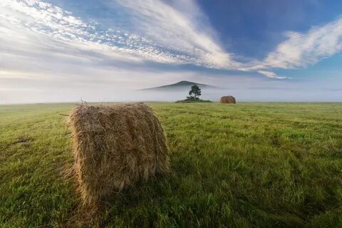 Поле в русской культуре