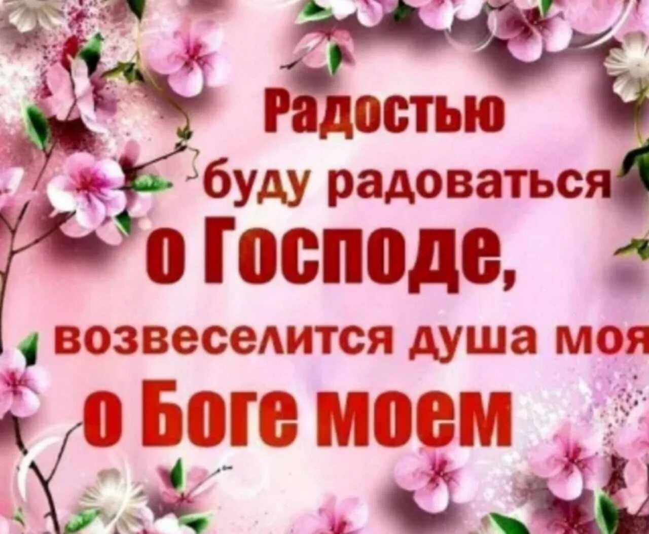 Радостью буду радоваться о Господе. Радость в Господе. Радуйтесь всегда в Господе. Христианские цитаты о радости. Господь удовольствие