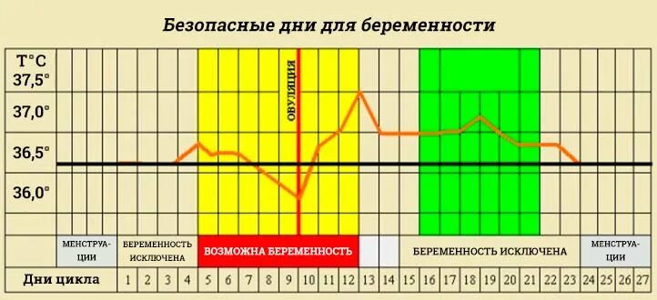 Можно ли забеременеть на следующий день овуляции. Безопасные дни цикла. Ктнла можно забеременеть. Менструальный цикл безопасные дни. График вероятности забеременеть.