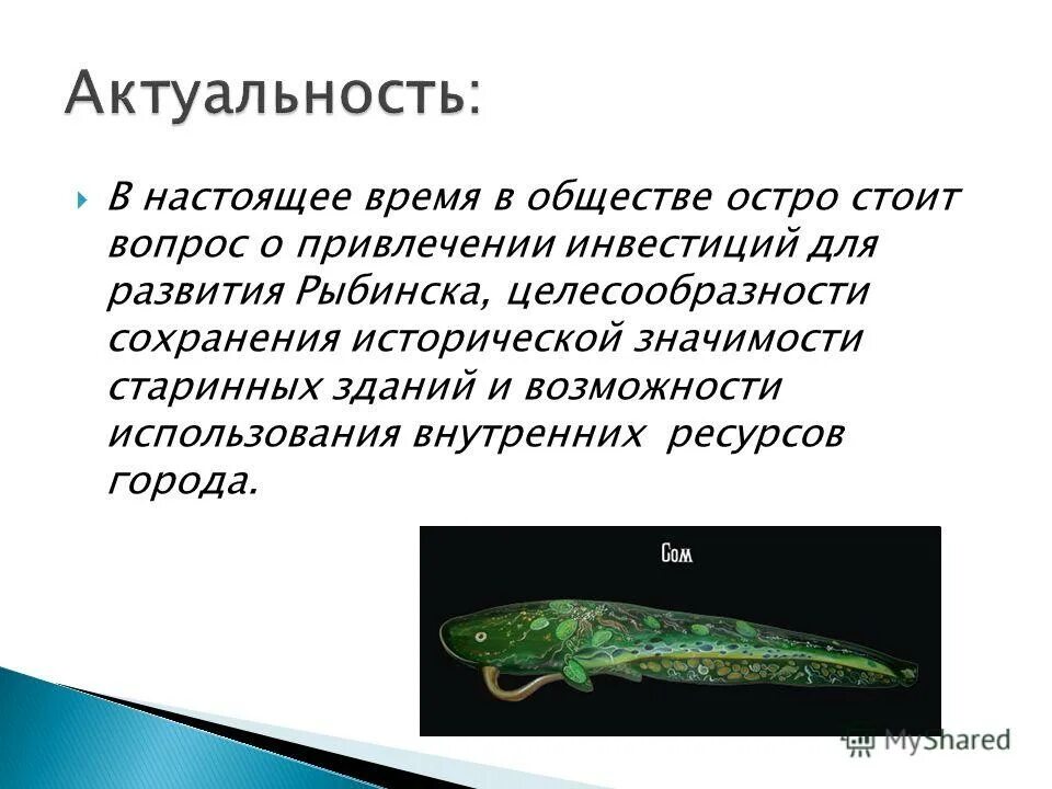 Наиболее острые экологические проблемы. В настоящее время остро стоит. Почему в настоящее время остро встал вопрос о формировании. Вывод на тему личность. Самая острая проблема экологии.