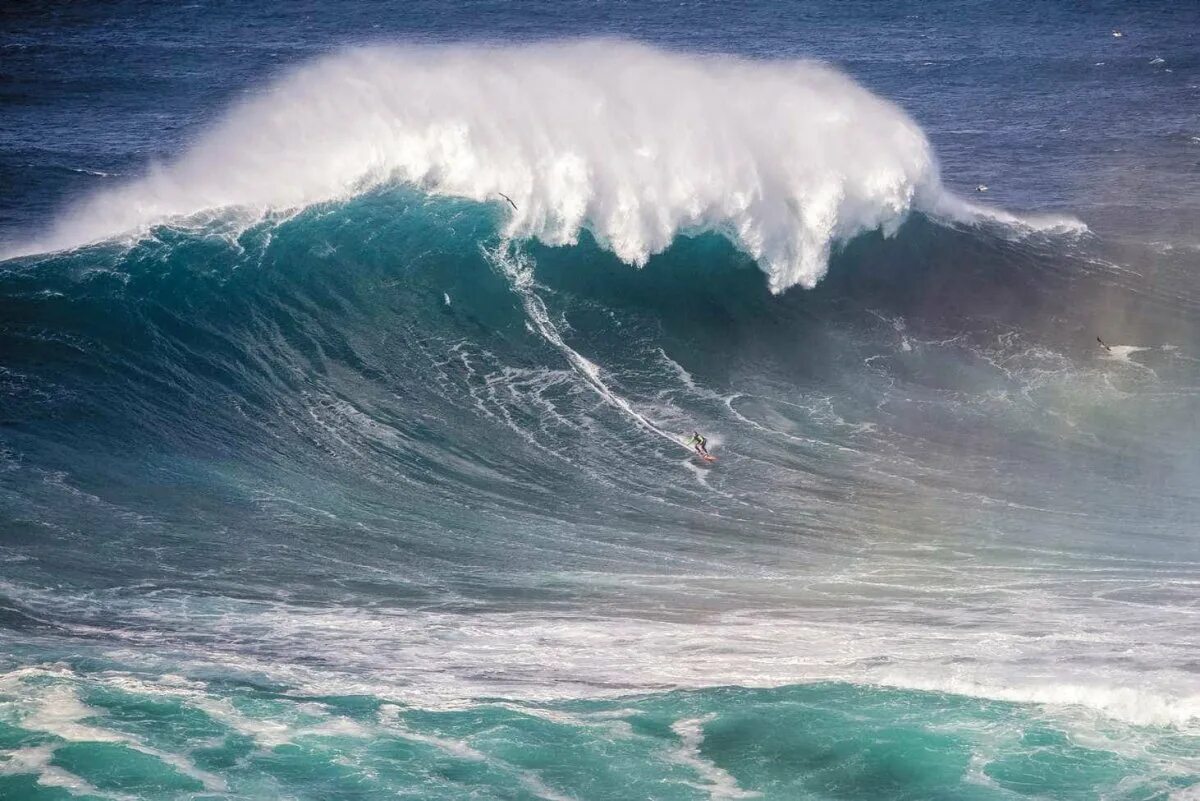 Волны огромные страшные. Тихий океан шторм ЦУНАМИ. Тихий океан шторм огромные волны ЦУНАМИ. Тихий океан Торнадо ЦУНАМИ. ЦУНАМИ Тихого океана 30 метров.