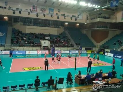 Одинцово волейбольный центр афиша