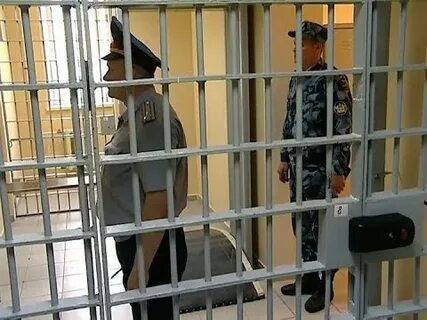Предварительного заключения 6