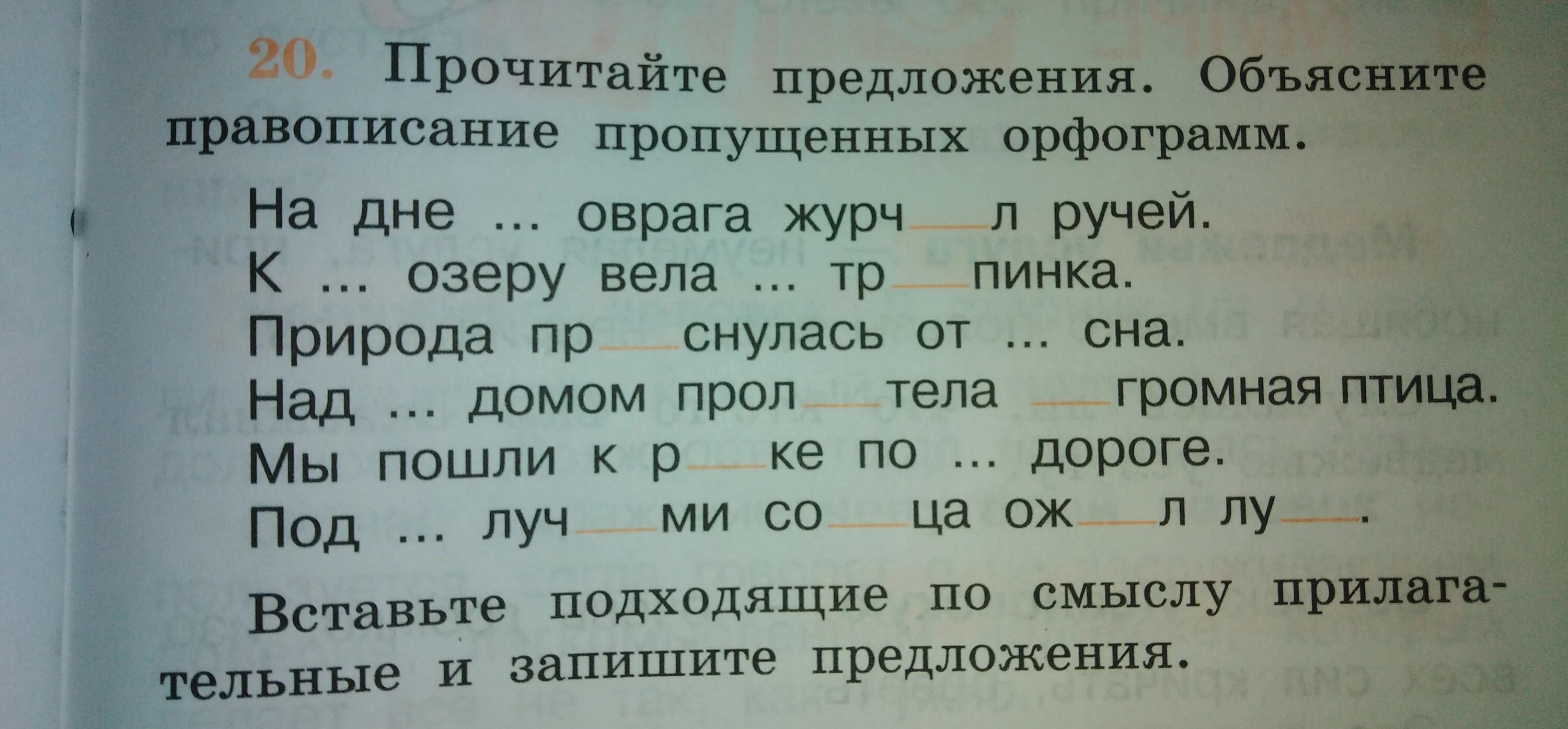 Шимпанзе подходящие по смыслу прилагательные. Вставьте подходящие по смыслу прилагательные. Вставь в предложение подходящие по смыслу прилагательные. Вставить подходящие по смыслу прилагательные. Задание вставь подходящие по смыслу имена прилагательные.