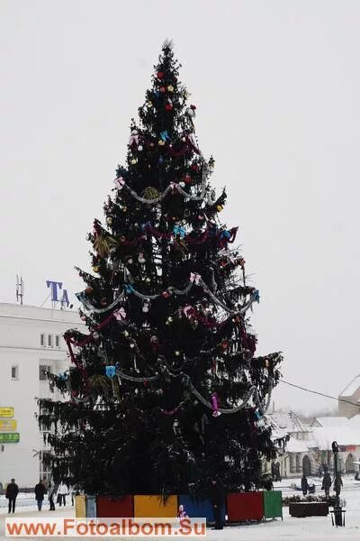 Елка в дмитрове 2022. Елка дмитров площадь. Елки в дмитрове для детей. Елка в дмитрове фото 2021. Город дмитров елка.