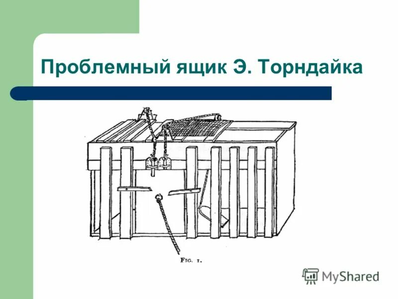 Торндайк научение. Схема проблемного ящика Торндайка. Эксперимент Торндайка. «Проблемная клетка» («проблемный ящик») э.Торндайка. Проблемные коробки Торндайка.