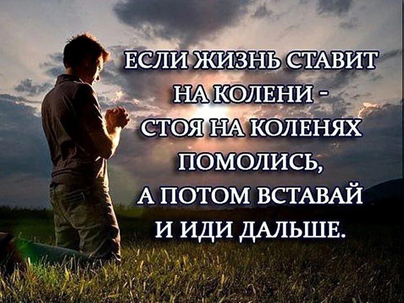 Живу поставим на всю. Высказывания о трудной жизни. Цитаты про жизнь. Красивые жизненные цитаты. Фразы о жизни.