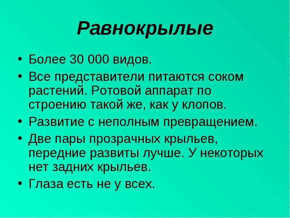 Отряд равнокрылые представители. Характеристика отряда равнокрылые. признаки отряда равнокрылые. общая характеристика равнокрылых кратко. равнокрылые краткая характеристика.