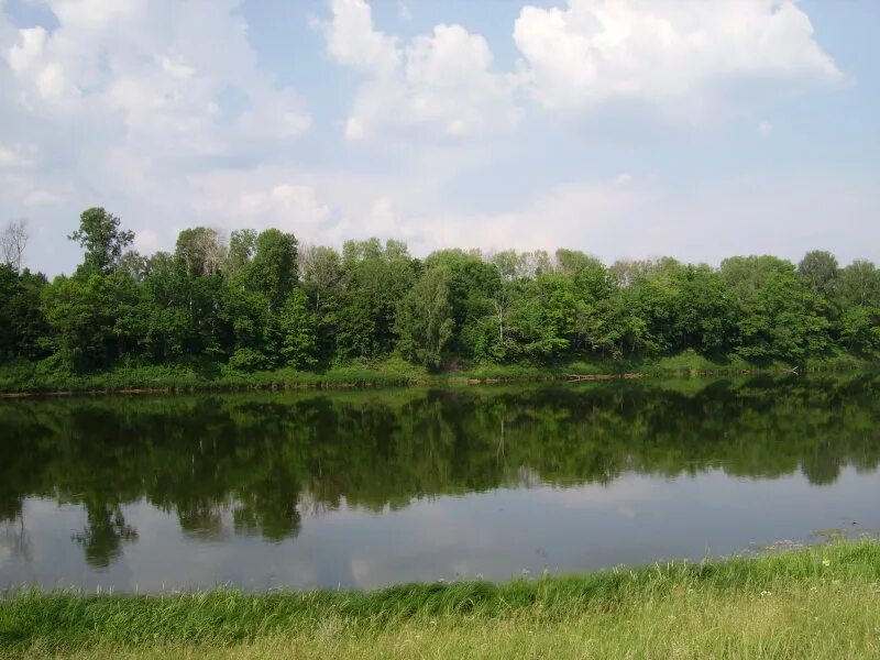 клязьма свистуха. клязьма свистуха. деревня клязьма московская область. клязьма 113 км. деревня свистуха дмитровского района.