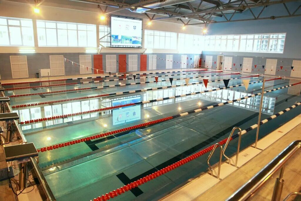 бассейн дельфин воронеж. , 88/1. бассейн вгу московский просп. воронеж московский проспект 88 1 бассейн вгу. бассейн вгу воронеж.