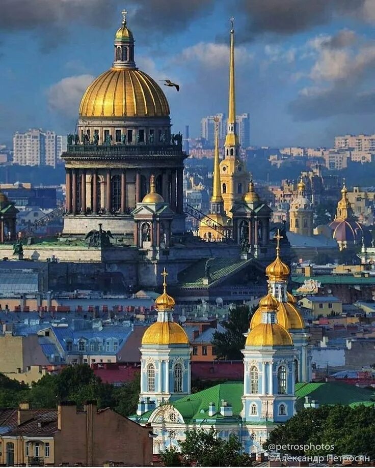 Чего много в питере